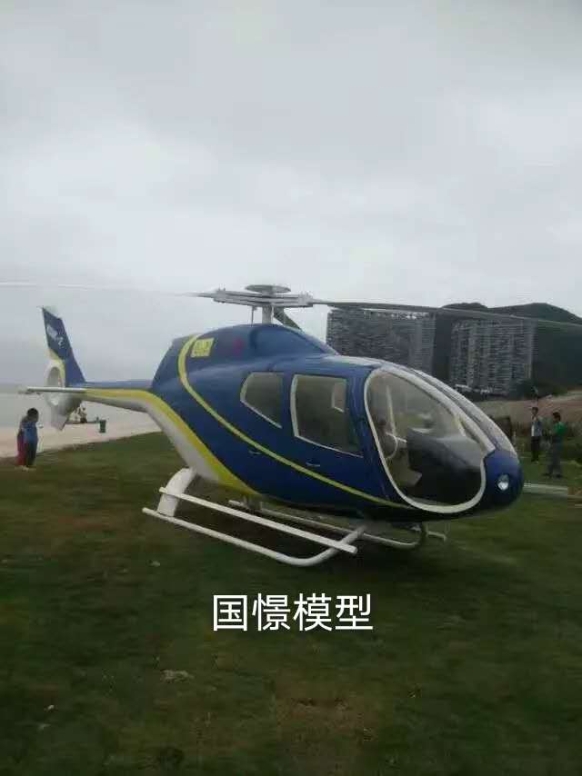 夏县飞机模型